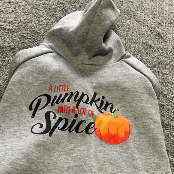 3/$10 Medium Size Dog Puppy Halloween Pumpkin Spice Gray Hooded Sweatshirt NWOT - Picture 4 of 10